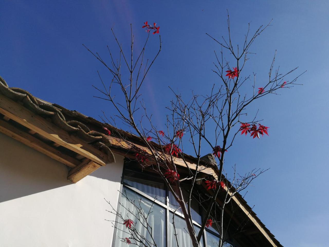 Yan Qi Si He Homestay Kunming Exterior photo